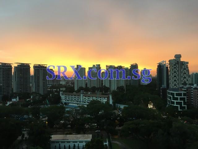 Leonie Suites (D9), Apartment #134801782